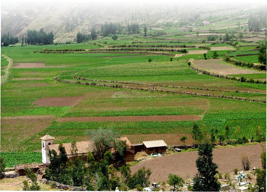 La Casa Del Conde Bed & Breakfast Pisac Ngoại thất bức ảnh